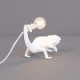 SELETTI Chameleon Lamp